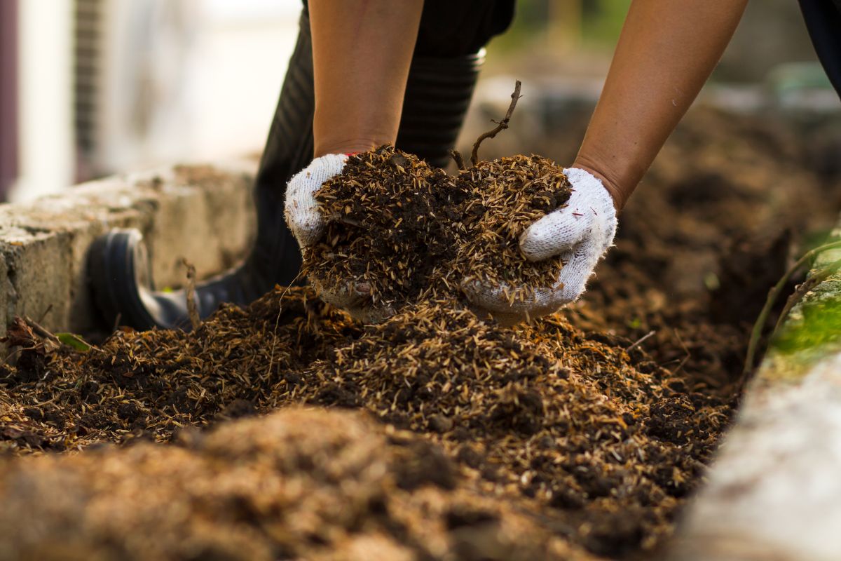 The Science of Soil Health.jpg